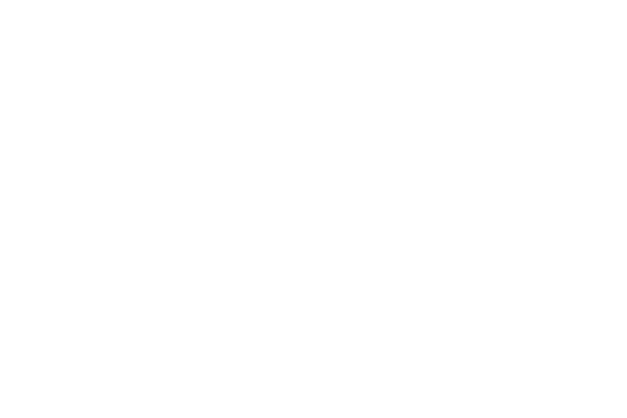 The Han Hair Design Studio Logo